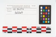 Etikett zu Reibstein (NHMW-PRAE-003429a)